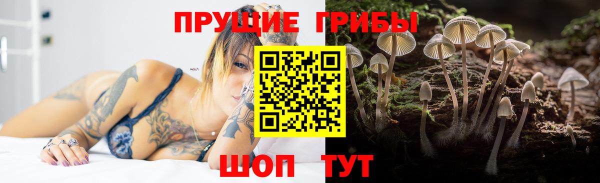 Галлюциногенные грибы прущие грибы Ливны